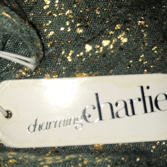 𝅺CHARMING CHARLIE infinity scarf metallic glittery size OS NEW - Picture 6 of 6